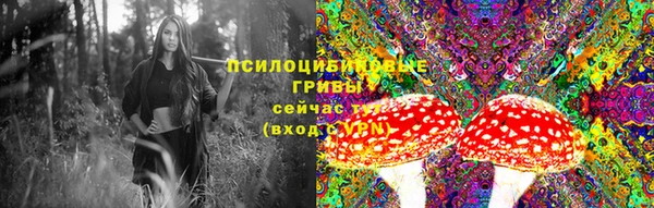 ECSTASY Аркадак