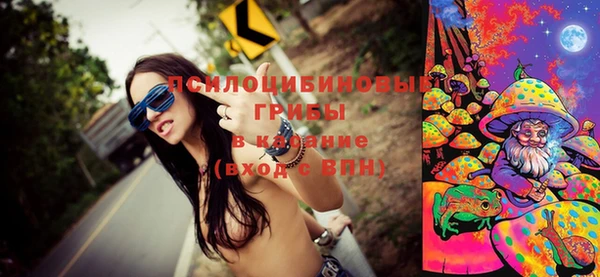 PSILOCYBIN Нязепетровск